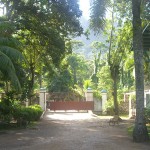 CIMG3167
