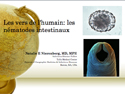 The Worms of Humans: Intestinal Nematodes