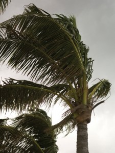 iStock_000006977548Medium