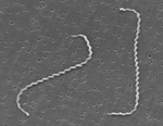 Screen shot 2012-01-31 at 4.17.02 PM