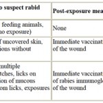 rabies