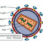 HIV in Haiti