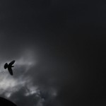 Spiritual-Care-7