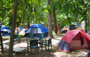 Volunteer Mini Tents